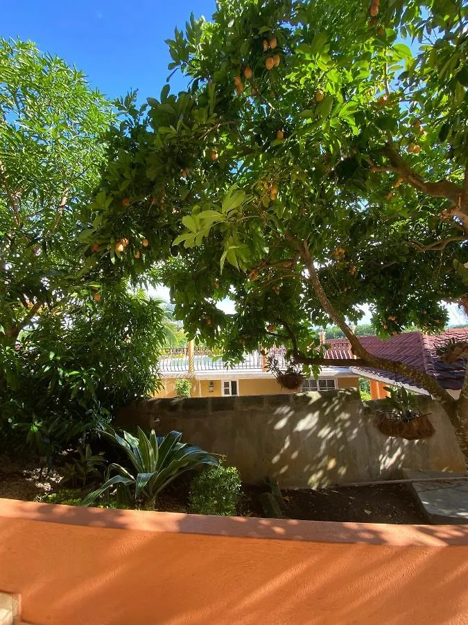 Mobay Vacation Village Montego Bay 0*,  Jamaica