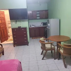 Wizzy Apartment Ocho Rios